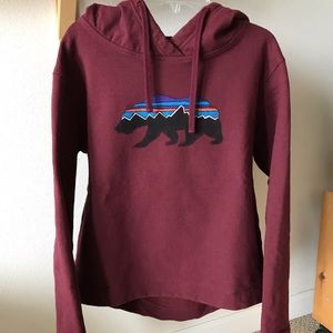 Patagonia Fitz Roy Bear Uprisal Hoody Sweatshirt S